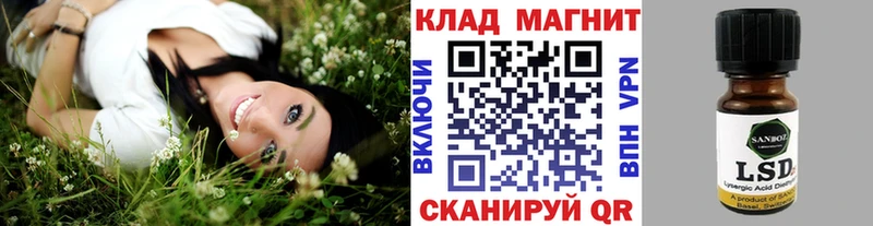 Как найти наркотики Губкинский APVP  Псилоцибиновые грибы  Кокаин  Меф 