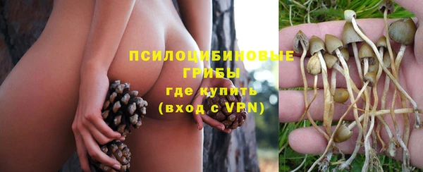 амф Майский