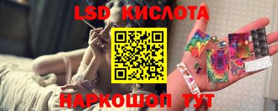 стаф Будённовск