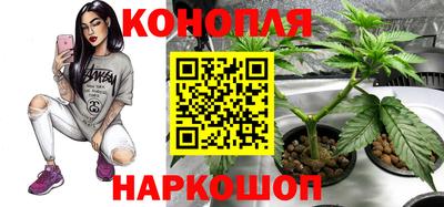 герыч Бийск