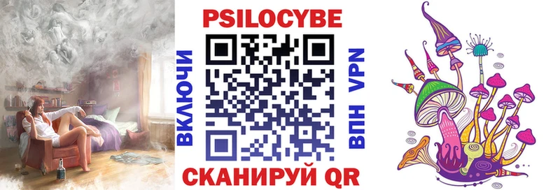 купить закладку Губкинский Псилоцибиновые грибы MAGIC MUSHROOMS