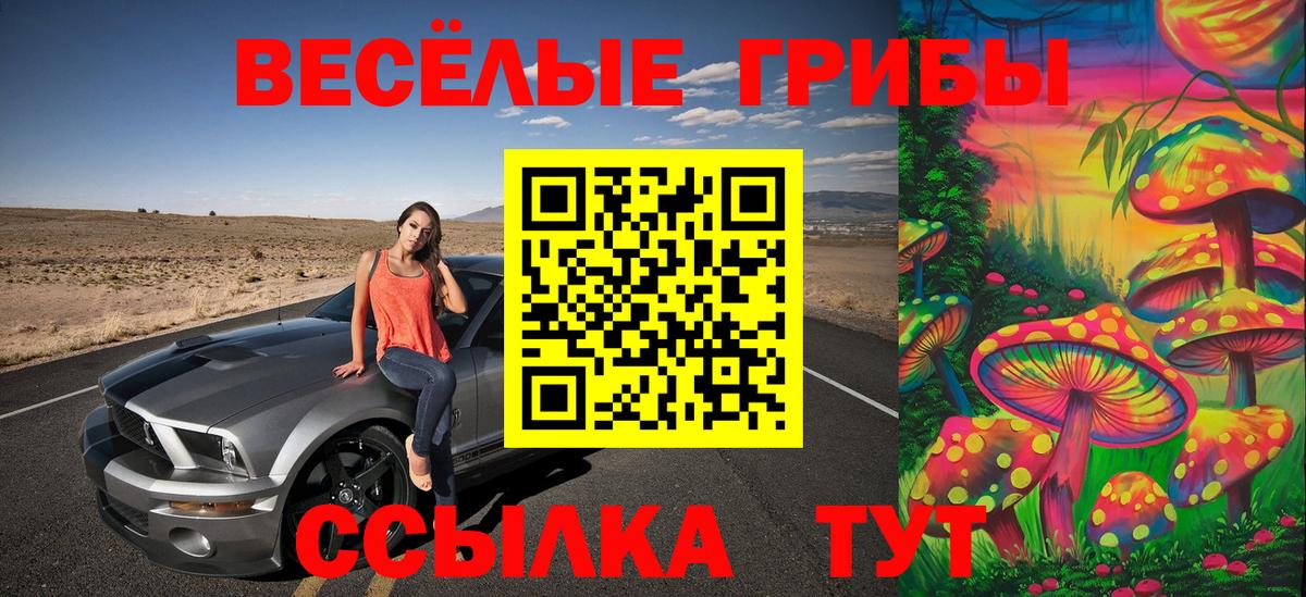 Галлюциногенные грибы Psilocybine cubensis Губкинский