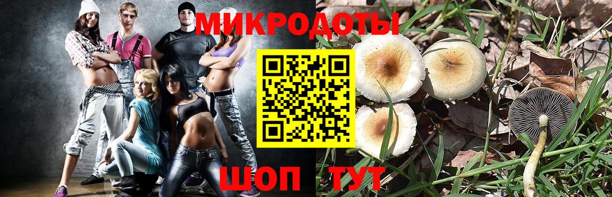 Галлюциногенные грибы мухоморы Губкинский