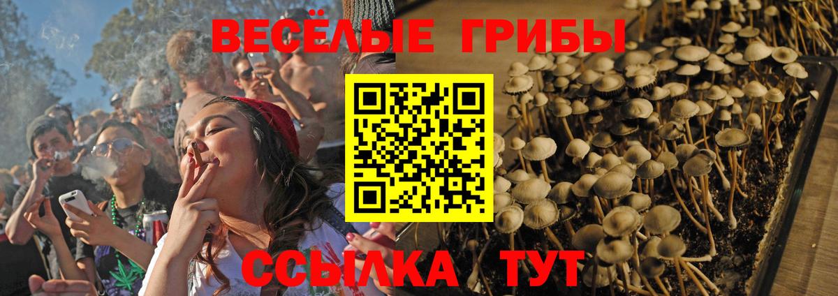 Псилоцибиновые грибы Psilocybe  Псилоцибиновые грибы Psilocybine cubensis  Вход с VPN  Губкинский 